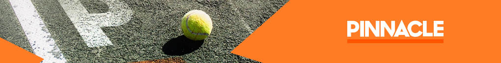 Pinnacle Sports banner