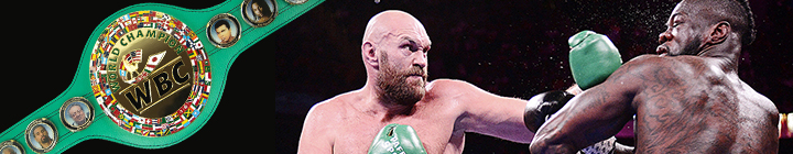 Tyson Fury Deontay Wilder
