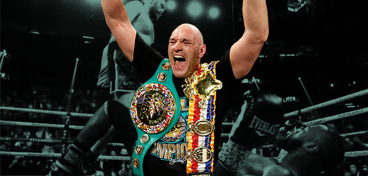 trilogie wilder fury